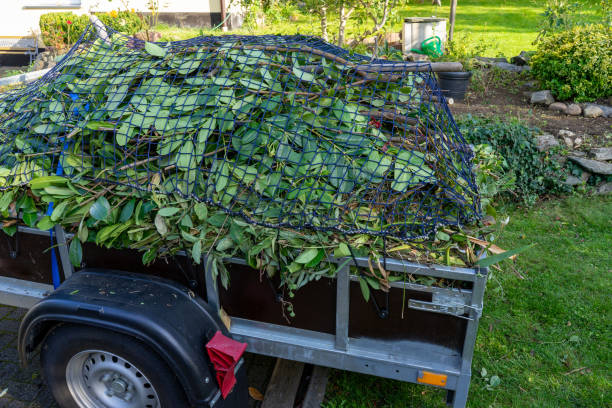 Professional Junk Removal  in Raymond, IL